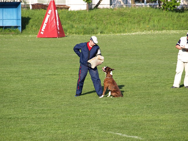 www.atibox.net * www.euroboxer.eu * www.boxergenealogia.eu